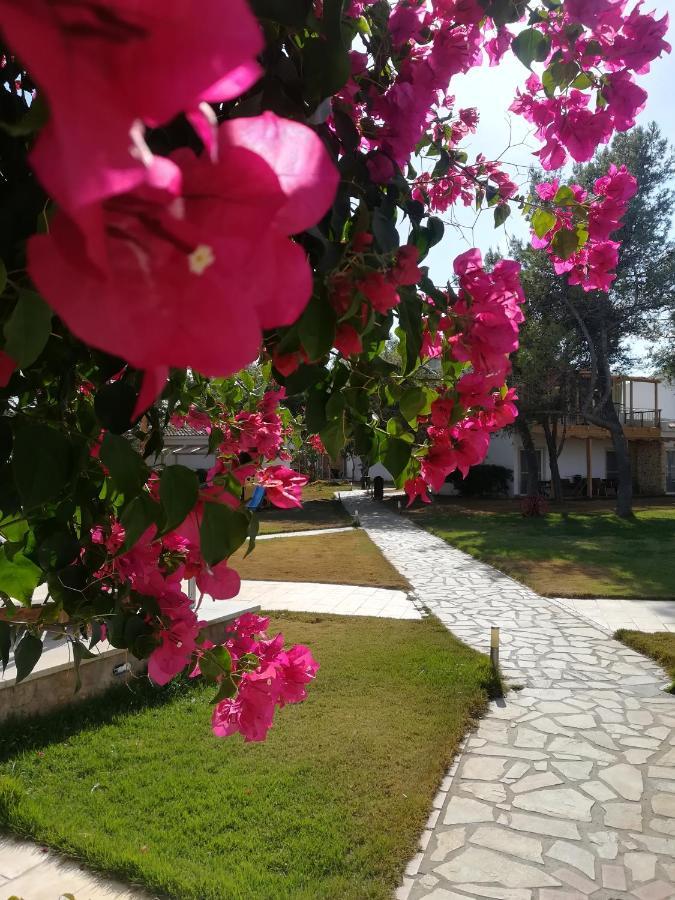 Marzi Beach And Bungalows Hotel Kokóni Kültér fotó