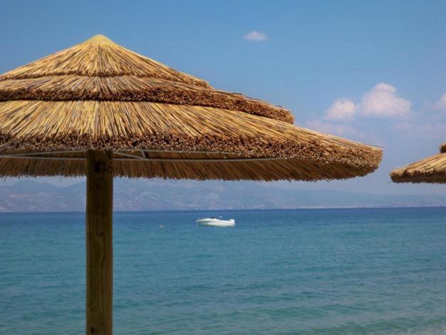 Marzi Beach And Bungalows Hotel Kokóni Kültér fotó