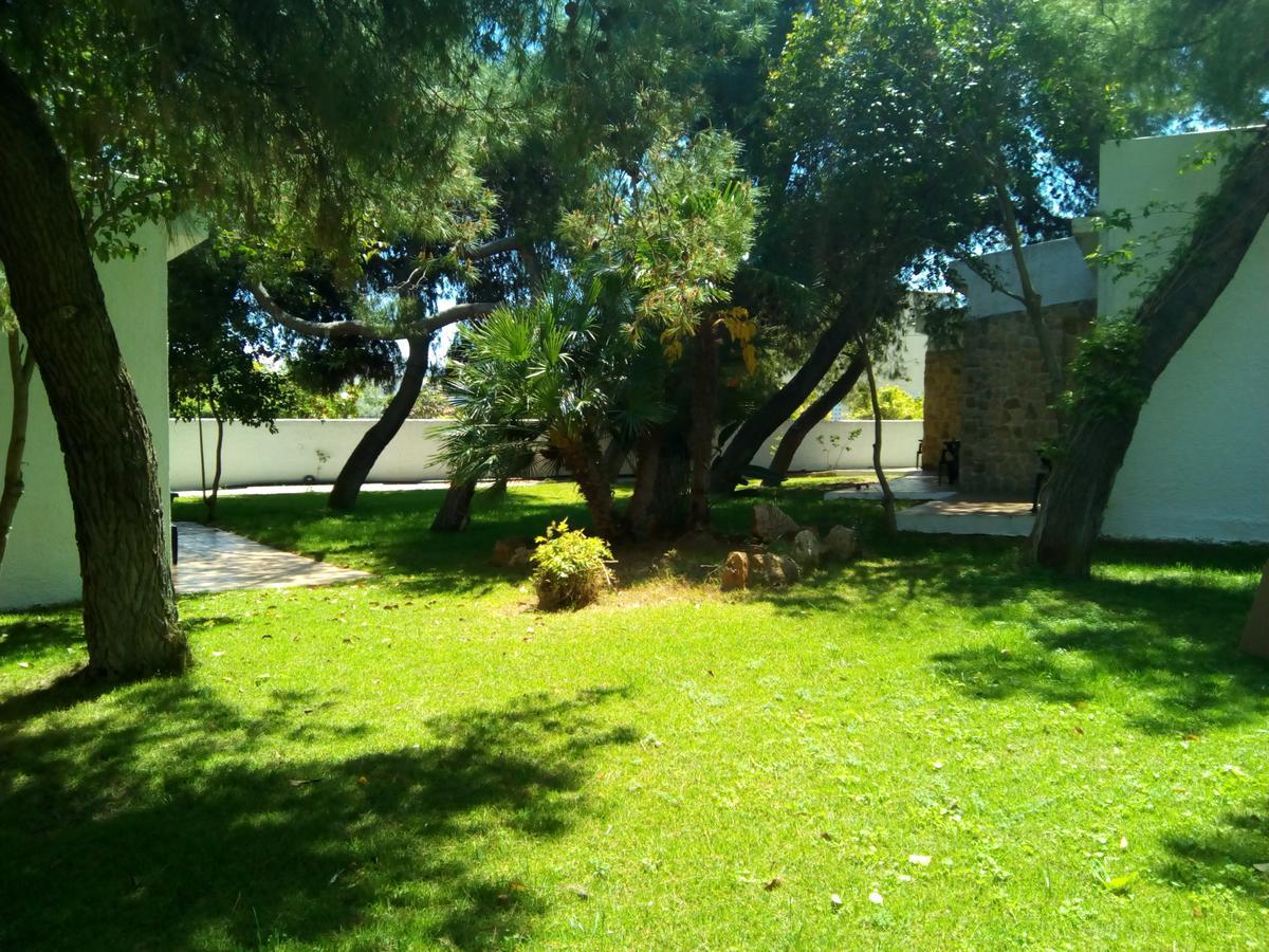 Marzi Beach And Bungalows Hotel Kokóni Kültér fotó